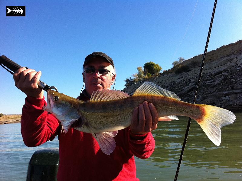 2011-10-07 Caspe 2011 026.jpg - Superbe sandre pour Guy